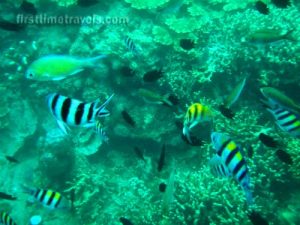 Snorkeling in the Philippines