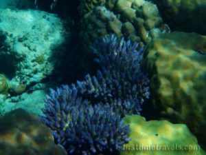 Snorkeling in the Philippines
