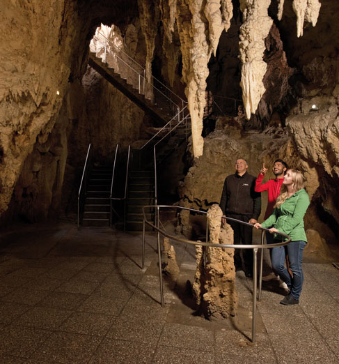 Waitomo Glowworm Caves