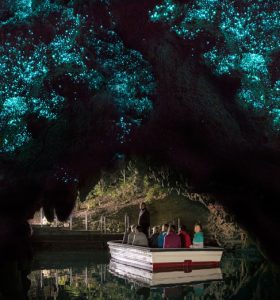 Waitomo Glowworm Caves