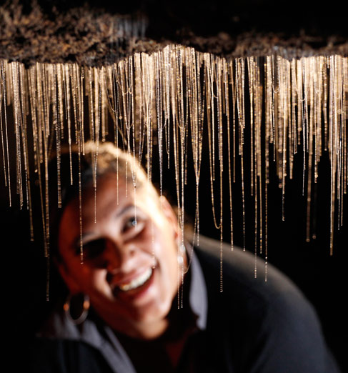 Waitomo Glowworm Caves