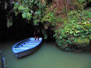 Waitomo Glowworm Caves