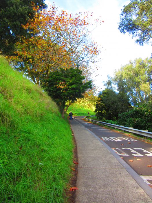 Mount Eden