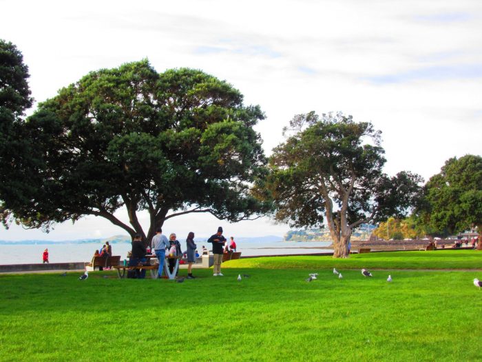 Mission Bay Reserve