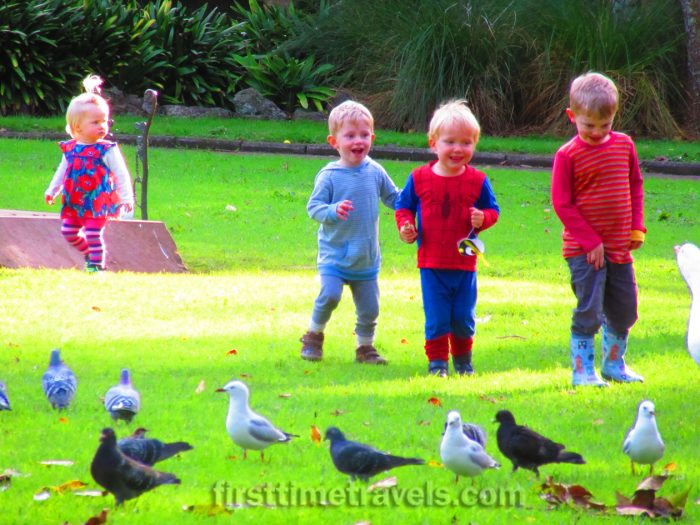 Auckland Domain