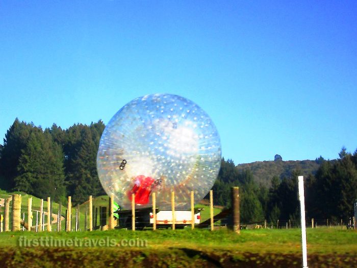 Rotorua zorb