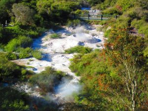 Geyser