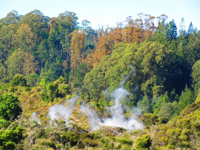 Geyser