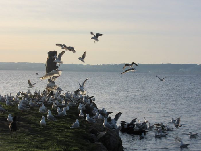Lake Rotorua