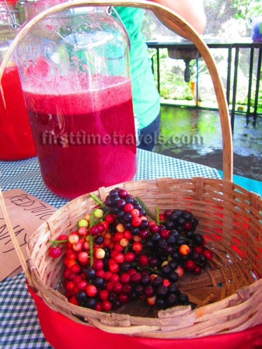 Negros Farmers Weekend Market