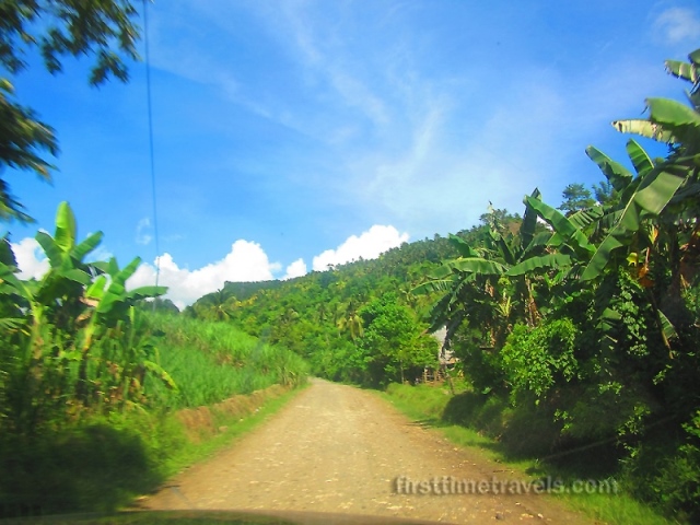 There is plenty of greens in this part of the province.