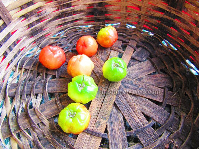 Negros Farmers Weekend Market