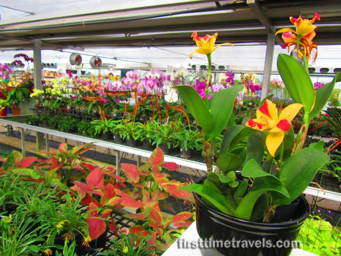 Agrotechnology Park Greenhouse