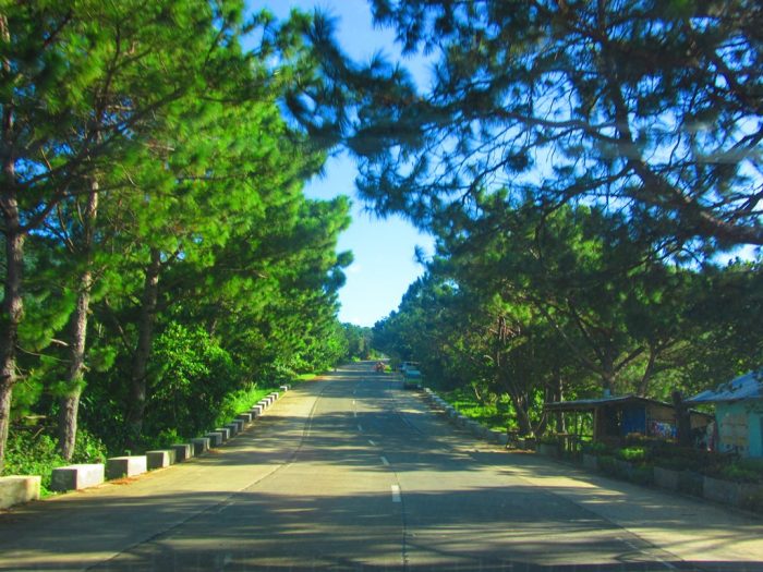 Sure trust