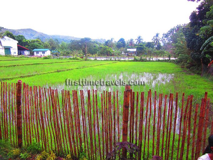 Kawa Inn