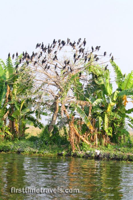 Alappuzha, Kerala