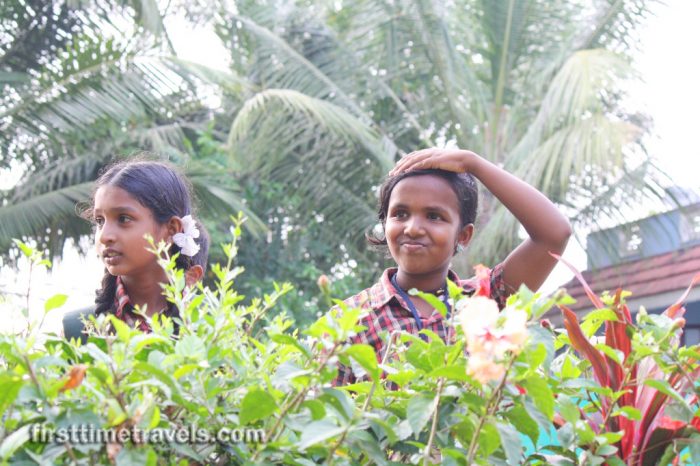 Kumarakom Village Kerala Blog Express