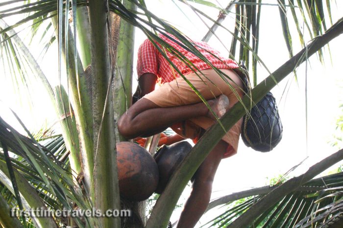 Kumarakom Village Kerala Blog Express