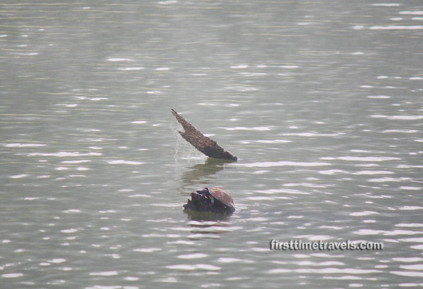 Periyar Tiger Reserve