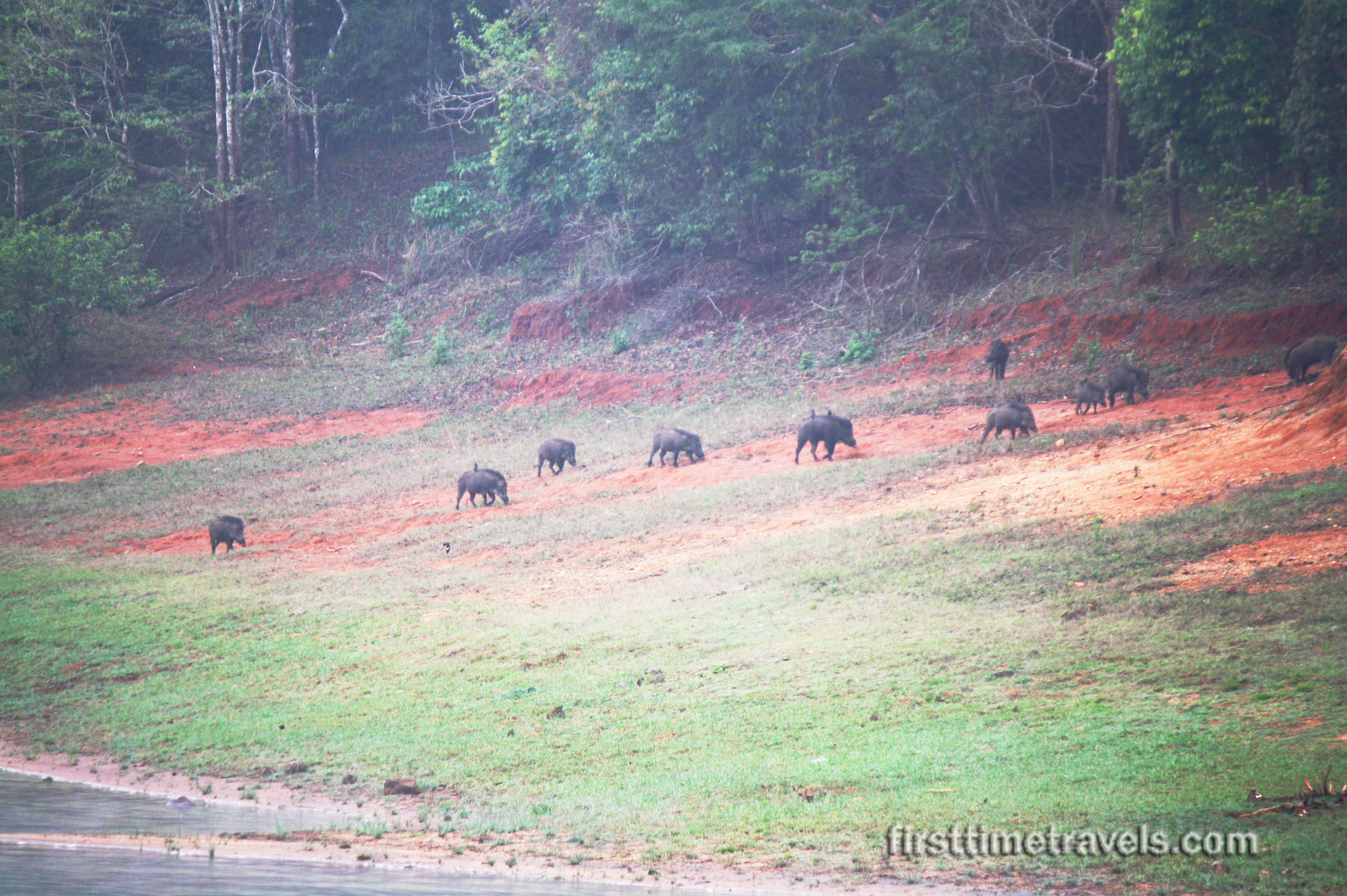 Periyar Tiger Reserve