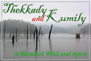 Kerala Blog Express