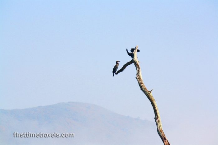 Kerala Blog Express Season 4