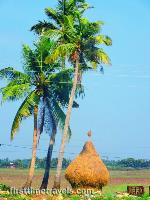 Alappuzha, Kerala
