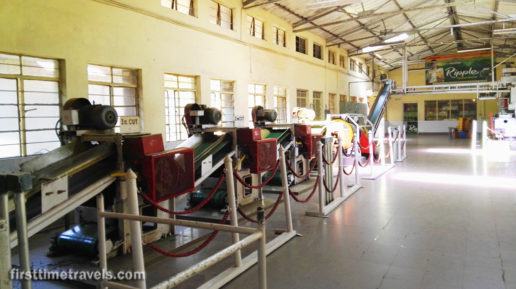 Kerala Blog Express Munnar