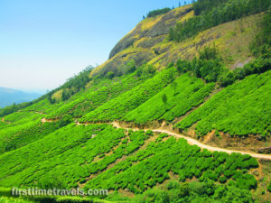 Kerala Blog Express Munnar