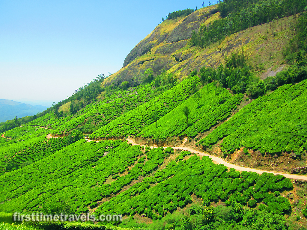 Kerala Blog Express Munnar
