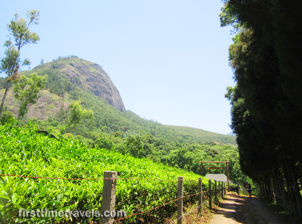 Kerala Blog Express Munnar