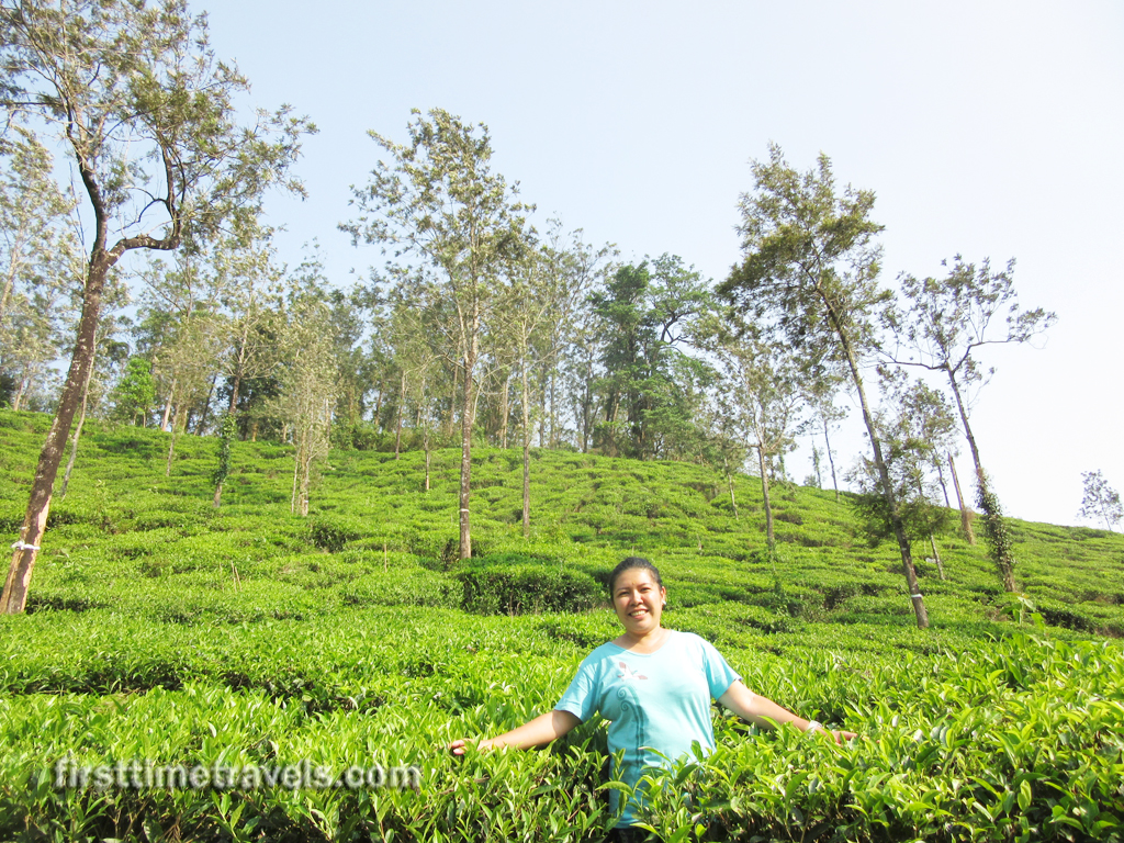 Wayanad Zipline