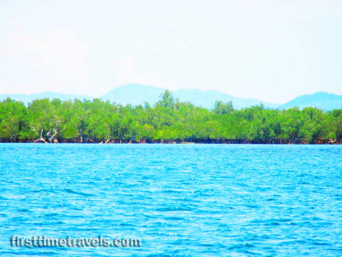 Suyac Island Magrove Eco-park