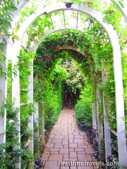 Terrazas de Flores