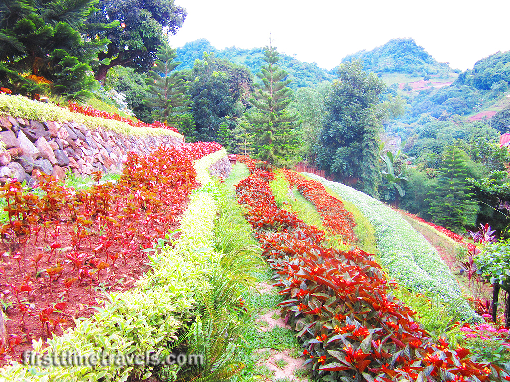 Terrazas de Flores