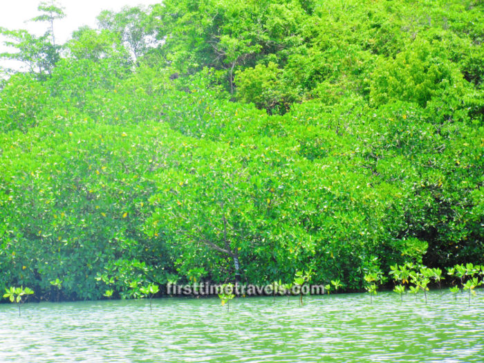 Taklong Island National Marine Reserve
