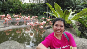 Jurong Bird Park
