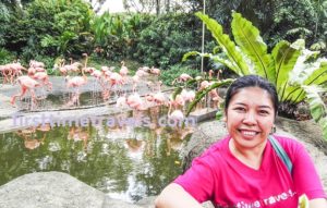 Jurong Bird Park