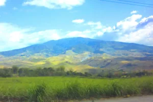 Negros Occidental