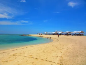 Negros Occidental