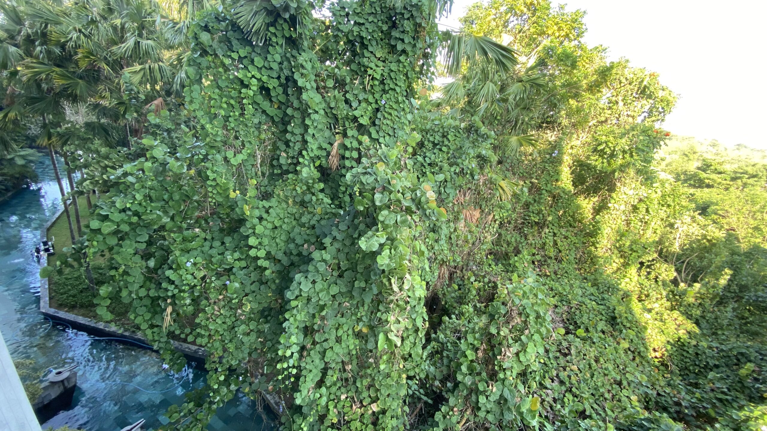 Ayana Estate Bali