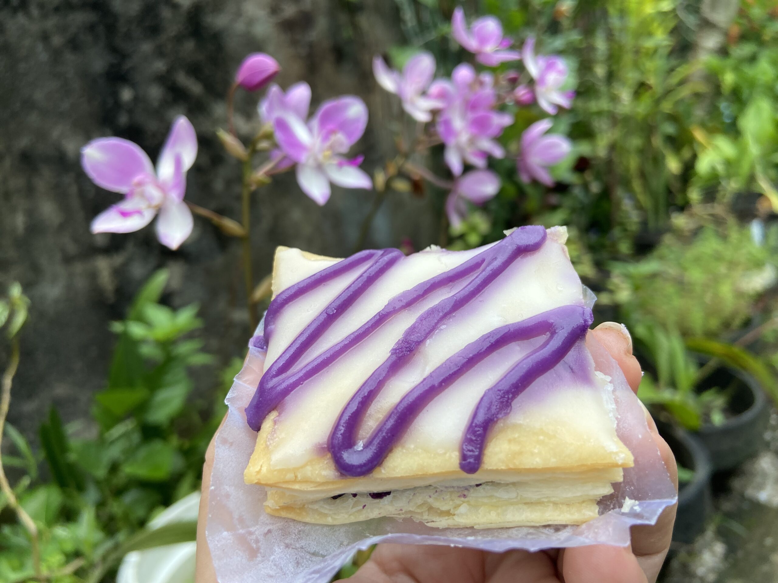 Merzci Ube Napoleones