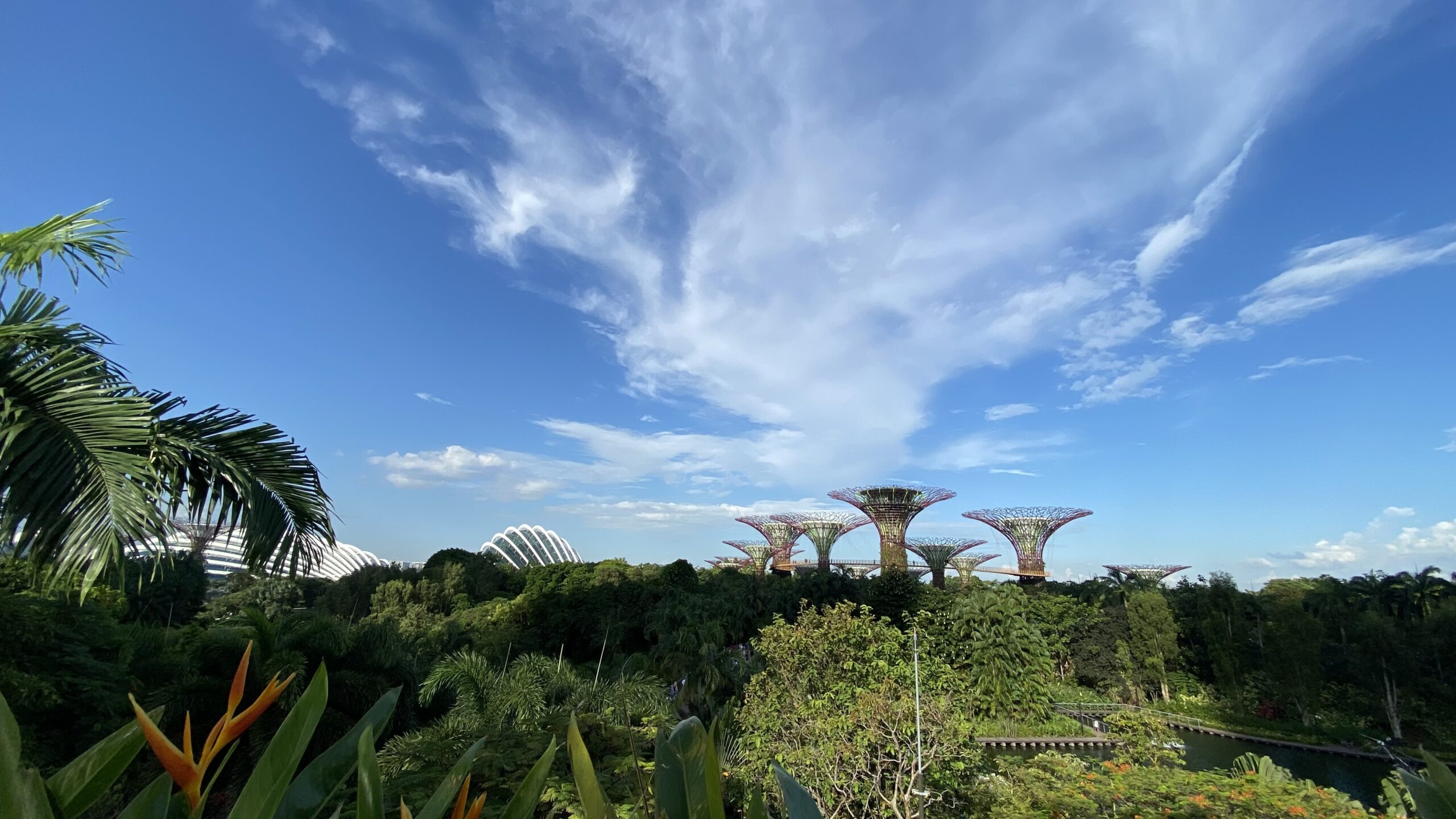 Gardens by the Bay