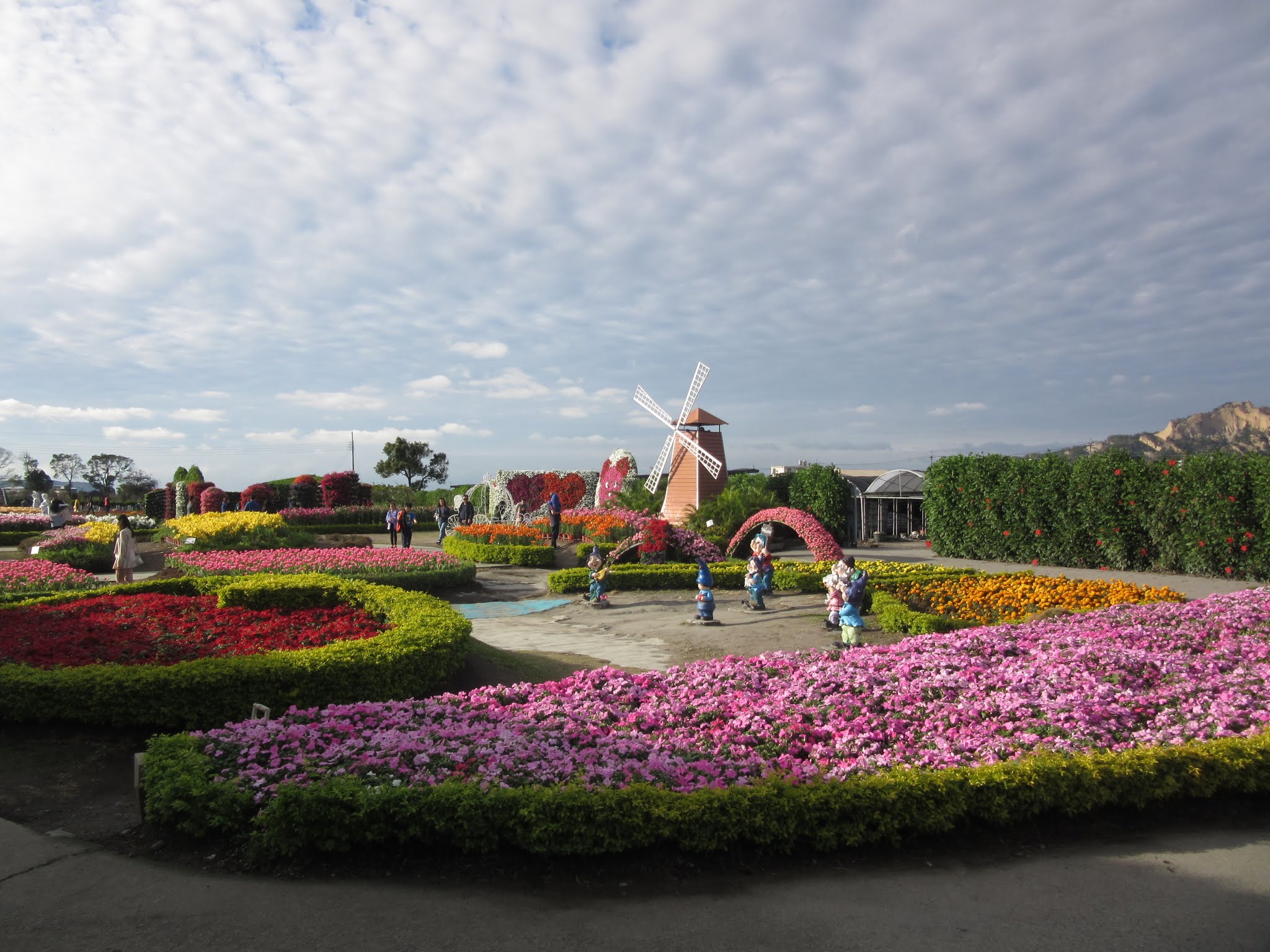 Taichung Zhongshe Flower Market