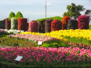 Garden in Taichung