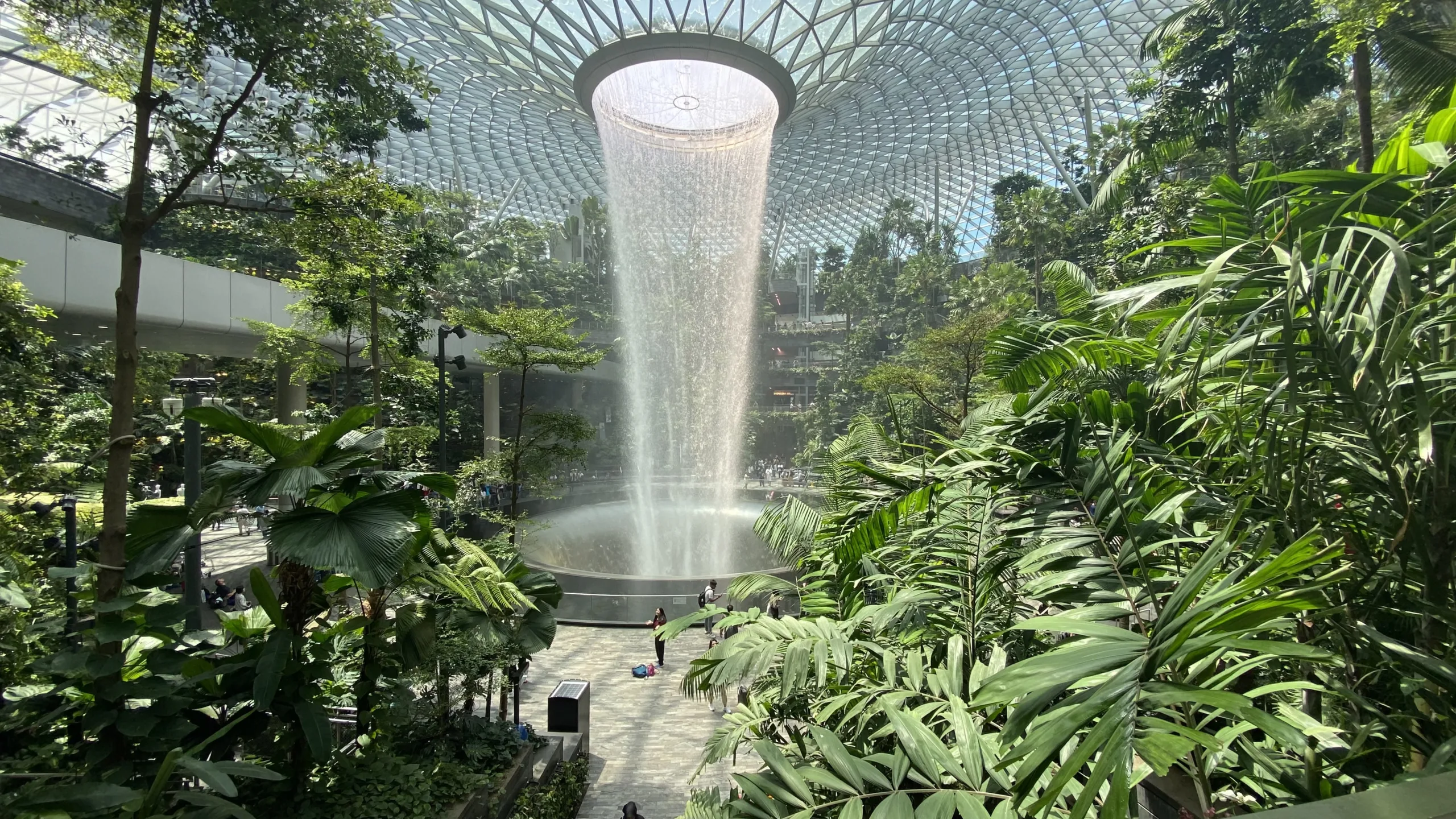 Singapore green Jewel
