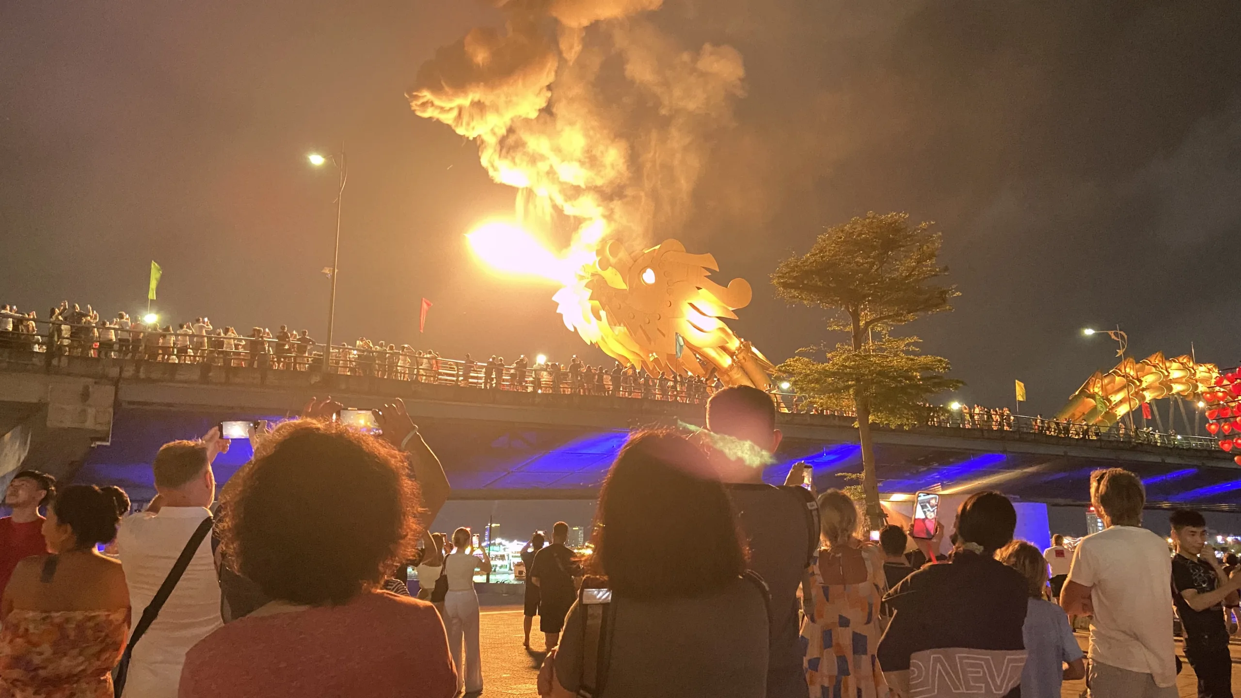Da Nang Dragon Bridge