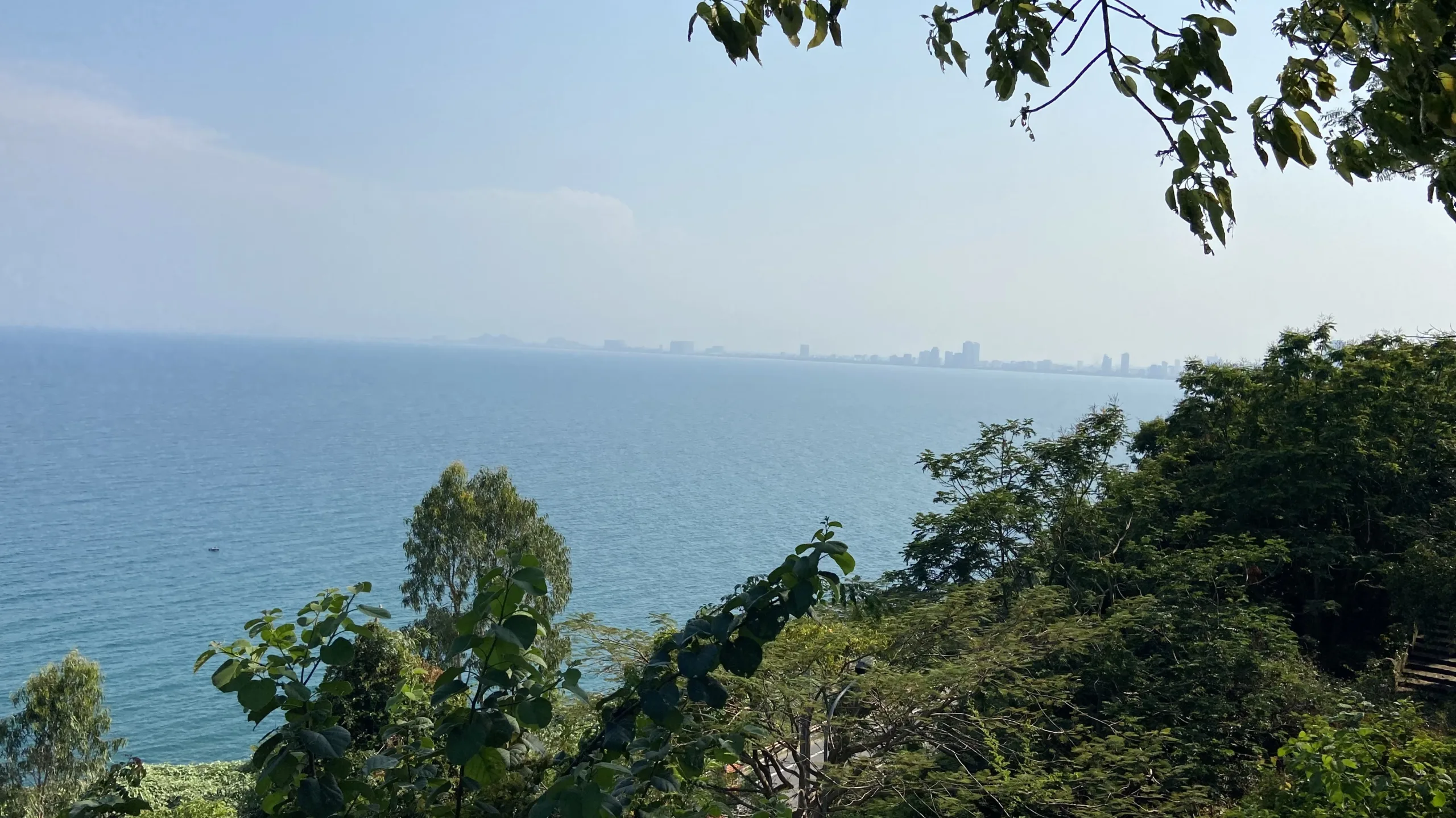 Son Tra Peninsula