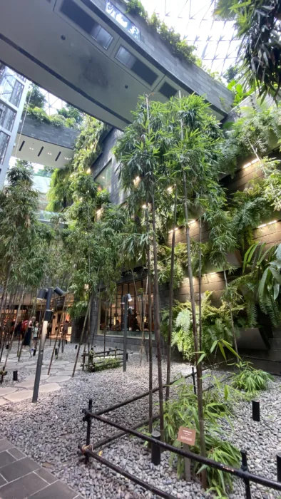 The Jewel Changi Airport Singapore