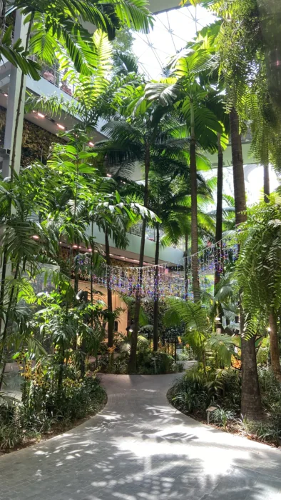 The Jewel Changi Airport Singapore